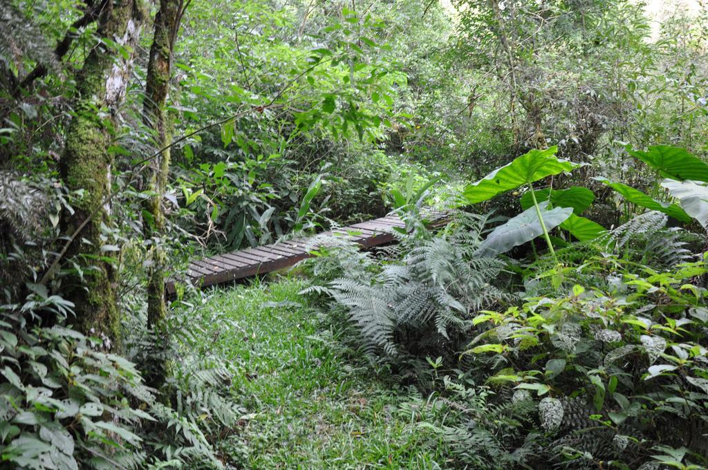 Pousada Heritage Colonial Otel Nova Petropolis Dış mekan fotoğraf